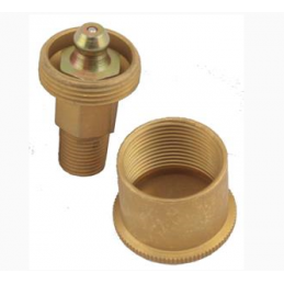 T-2545-BRGR  Grease bushing with grease nipple and grease cap 1/8&quot; NPT pipe thread   Ford Model T 1909-1927 